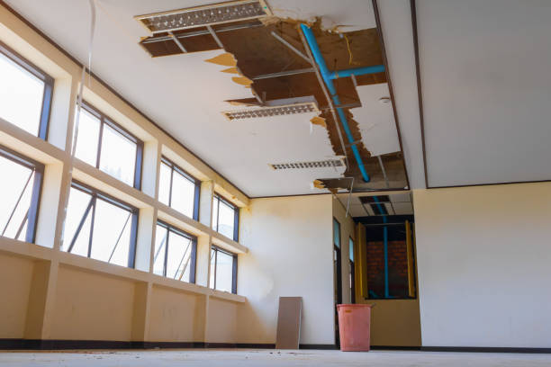 Best 24/7 water damage repair  in Hillsborough, CA