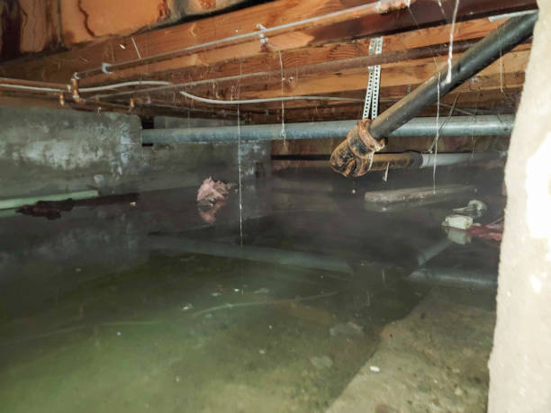 Best Ceiling water damage repair  in Hillsborough, CA