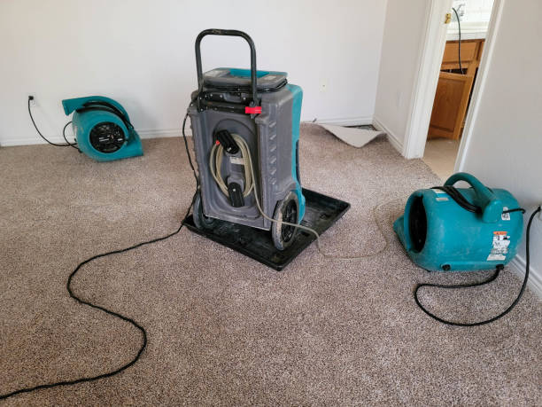 Water damage restoration insurance claims in Hillsborough, CA