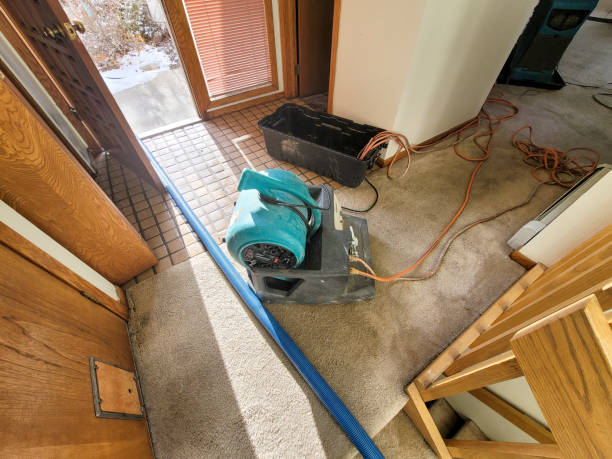  Hillsborough, CA Water damage restoration Pros