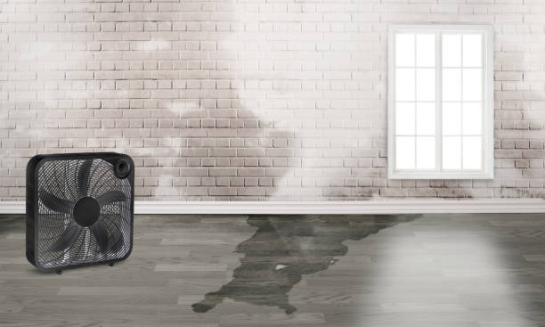 24/7 water damage repair in Hillsborough, CA