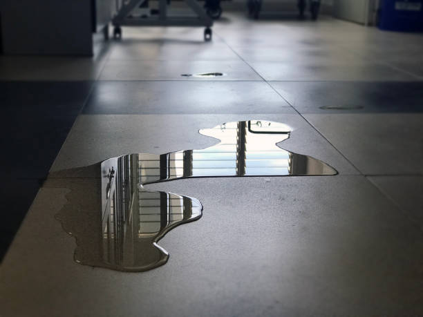 Professional Water damage restoration in Hillsborough, CA