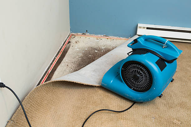 Best Sewage cleanup and water damage restoration  in Hillsborough, CA